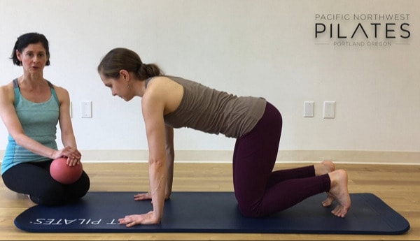 Home Exercise: Leg Pull Front Prep - Pacific Northwest Pilates
